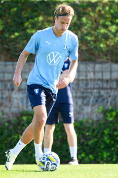 Malmö FFs Erik Botheim