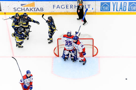HV71s Radan Lenc jublar