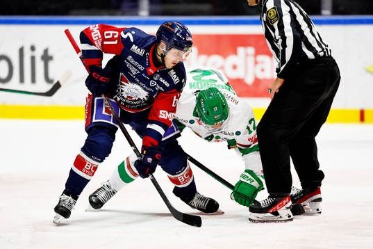 <lili61under ishockeymatchen i SHL mellan Linköping och