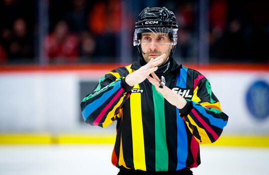 Domare Mikael Sjöqvist