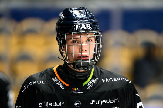 HV71s Wilhelm Hallquisth
