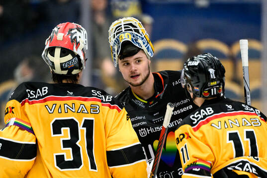 HV71s målvakt Frederik Dichow