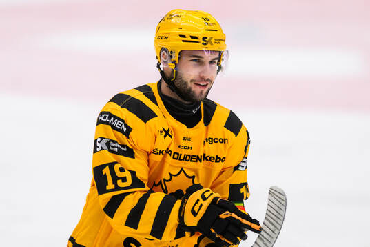 Skellefteås Martins Dzierkals jublar