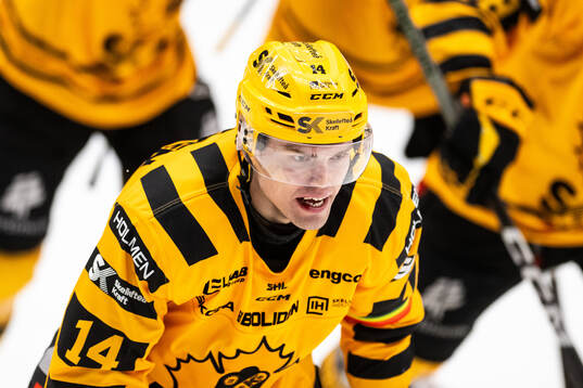 Skellefteås Andreas Johnson jublar