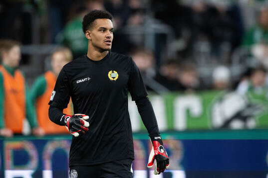 Hammarbys målvakt Oliver Dovin