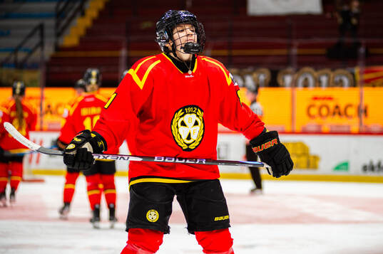 Brynäs Noemi Neubauerova deppar