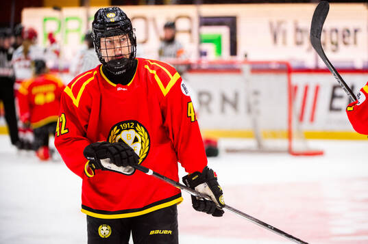 Brynäs Sini Karjalainen