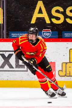 Brynäs Anna Brenkle