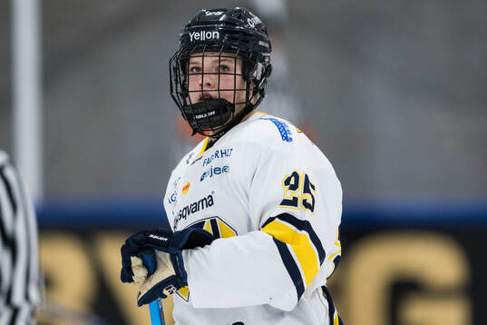 HV71s Alva Johansson