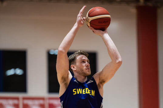 David Höök