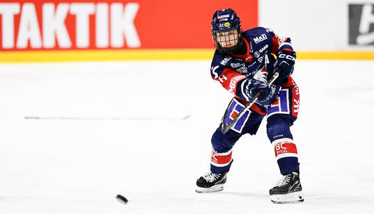 Linköpings Tako Hitosato