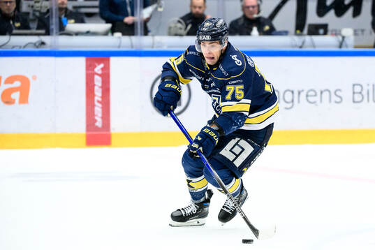 HV71s Radan Lenc
