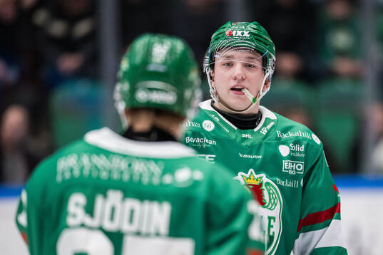 Rögles Viktor Smeds