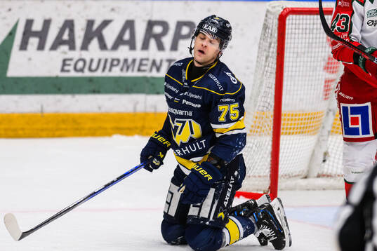 HV71s Radan Lenc