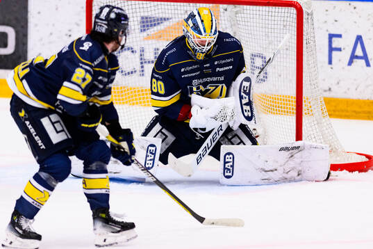 HV71s målvakt Frederik Dichow