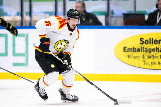 Brynäs Linus Ölund