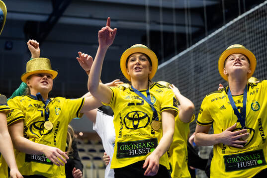Sävehofs spelare jublar