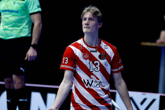Pixbos Arvid Äse