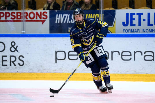 HV71s Wilhelm Hallquisth