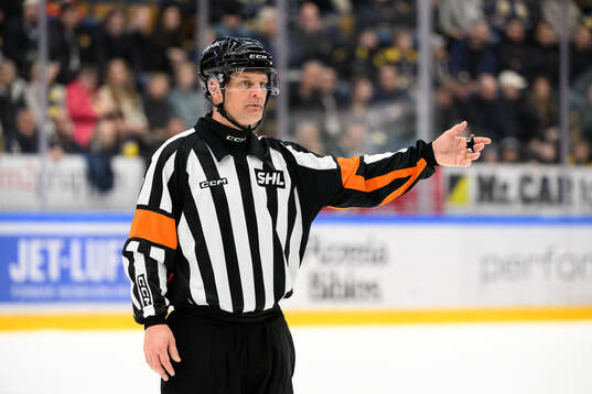 Domare Mikael Nord