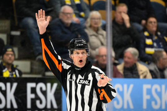 Domare Mikael Nord
