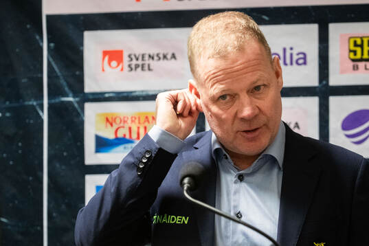 Luleås assisterande tränare Henrik Stridh deppar