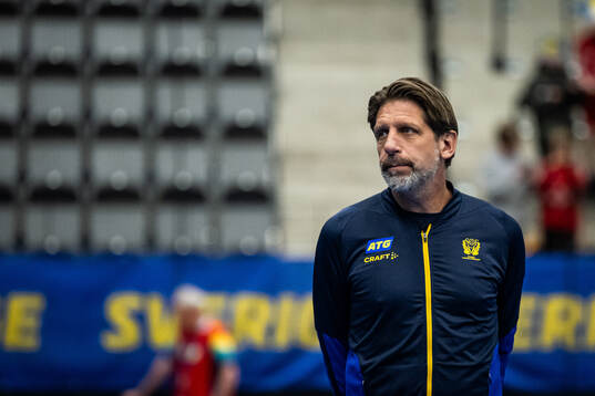 Head coach Tomas Axnér of Sweden