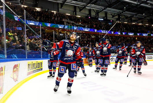 Linköpings spelare med Linus Hultström jublar