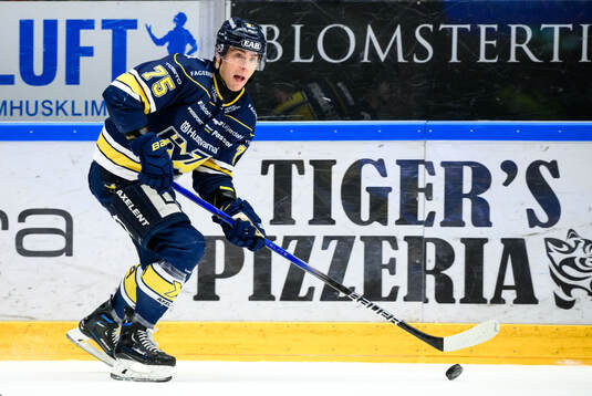 HV71s Radan Lenc