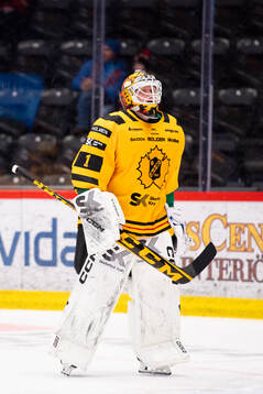 Skellefteås målvakt Alexander Hellnemo