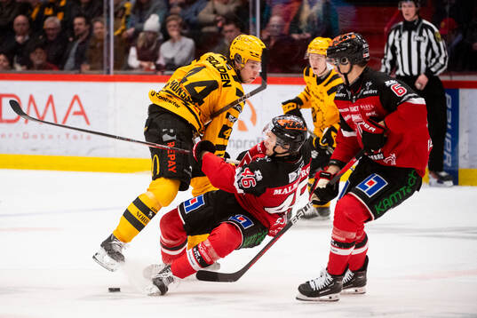Skellefteås Elias Salomonsson, Örebros Svante Sjödin och