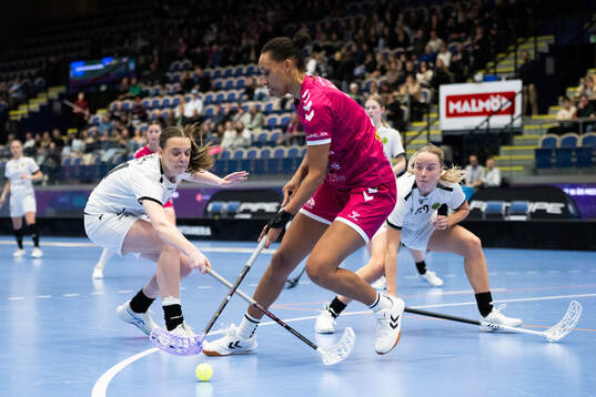 Malmös Yamou Njai