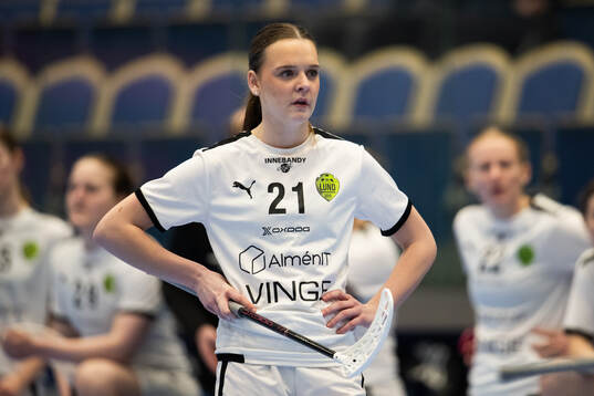 Lunds Moa Dybner