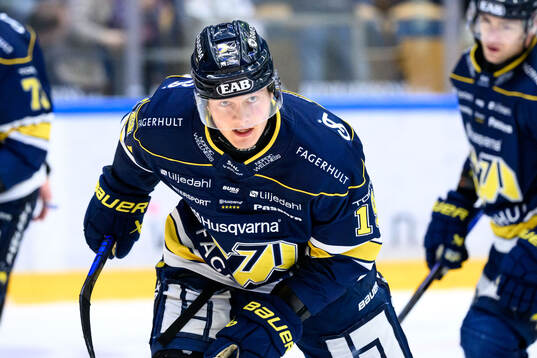 HV71s Henrik Borgström jublar