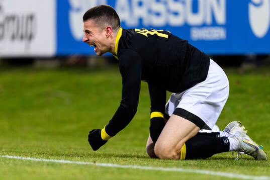 AIKs Dino Besirovic