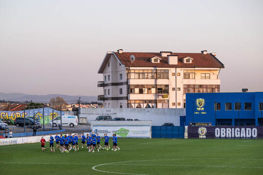 Players of the Swedish men's national football team