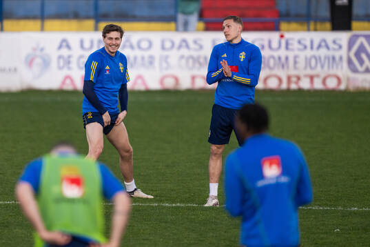 of the Swedish men's national football team