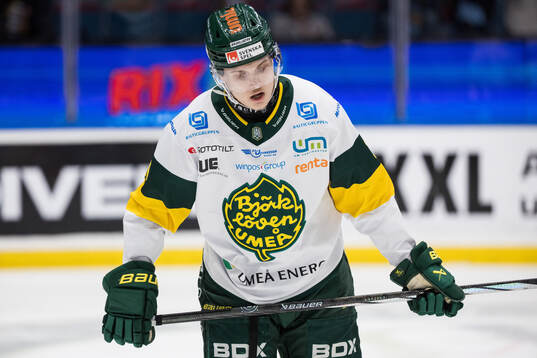 Björklövens Lenni Killinen deppar