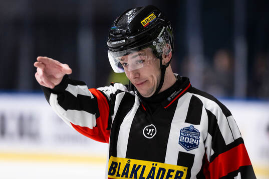 Domaren Oscar Niklasson