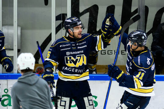 HV71s Radan Lenc jublar
