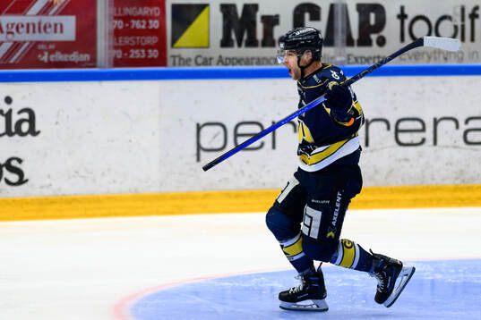HV71s Radan Lenc jublar