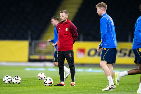 Assistant coach Sebastian Larsson of Sweden of the Swedish