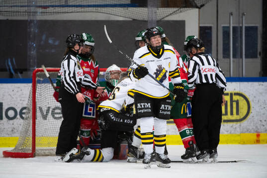 Aiks Ella Sköldebäck