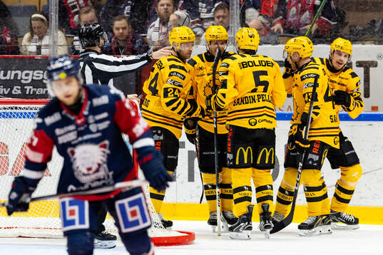 Skellefteås spelare jublar med Jonathan Johnson