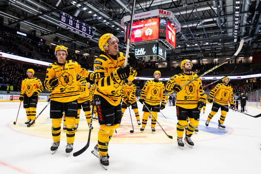 Bläddra bland fler bilder av Ishockey, SHL, Kvartsfinal 3, Linköping - Skellefteå