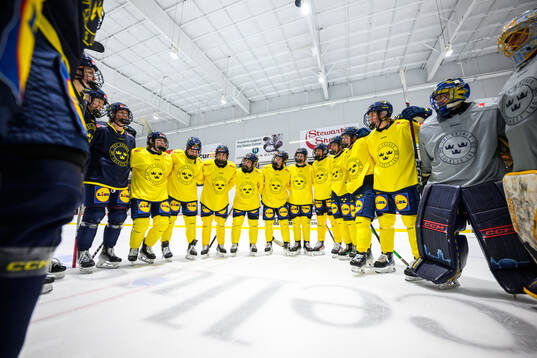 Players of Sweden
