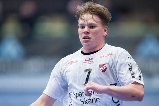 Lugis Axel Månsson