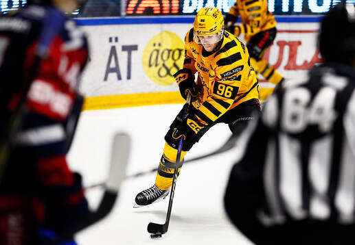 Skellefteås Rickard Hugg