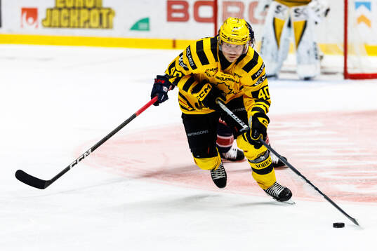 Skellefteås Anton Heikkinen