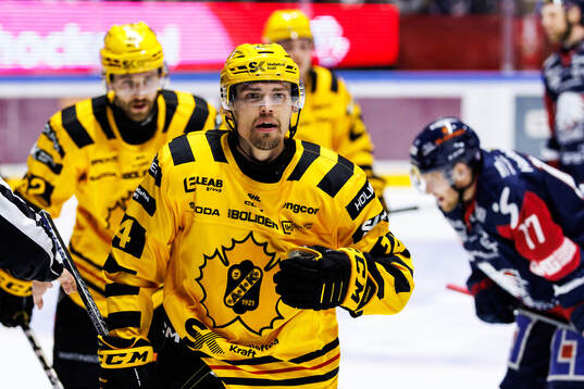 Skellefteås Andreas Johnson jublar
